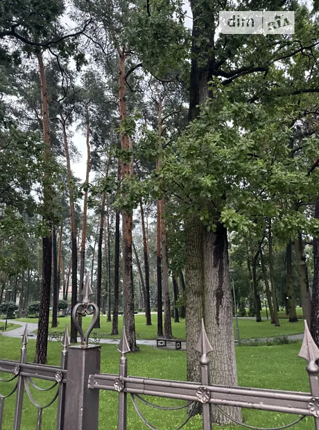 Квартира на вул. Матвія Донцова, 24 в Києві, ID 232046, фото №7