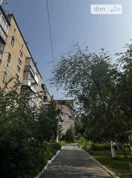 Квартира на вул. Михайла Стельмаха, 5 в Київ, ID 244170, фото №5