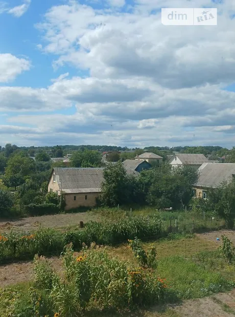 Квартира на вул. Володимира Грушевского, 4В в Києві, ID 221405, фото №12