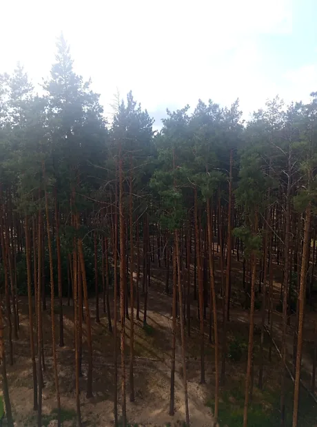 Квартира на вул. Виговського, 2Д в Києві, ID 226519, фото №10