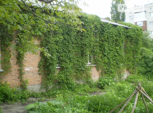 Квартира на вул. Київська в Житомир, ID 234505, фото №4