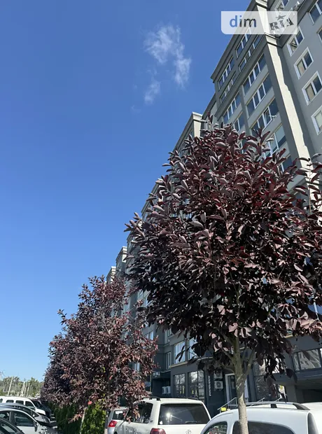 Квартира на вул. Івана Кожедуба, 4Б в Києві, ID 220354, фото №27