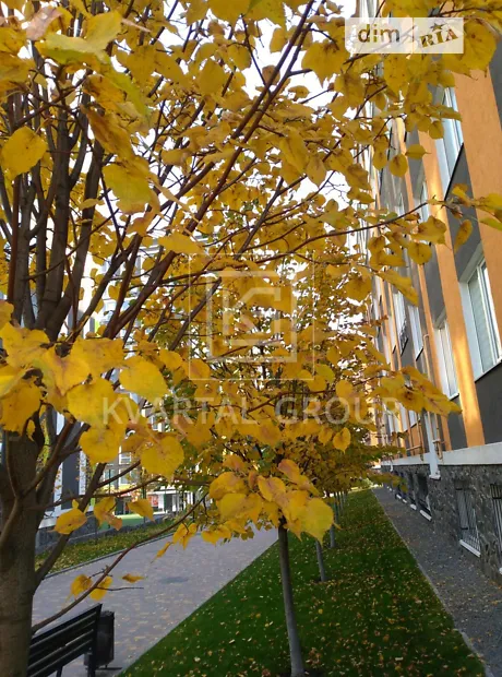 Квартира на вул. Григорія Сковороди, 29 в Києві, ID 234849, фото №8