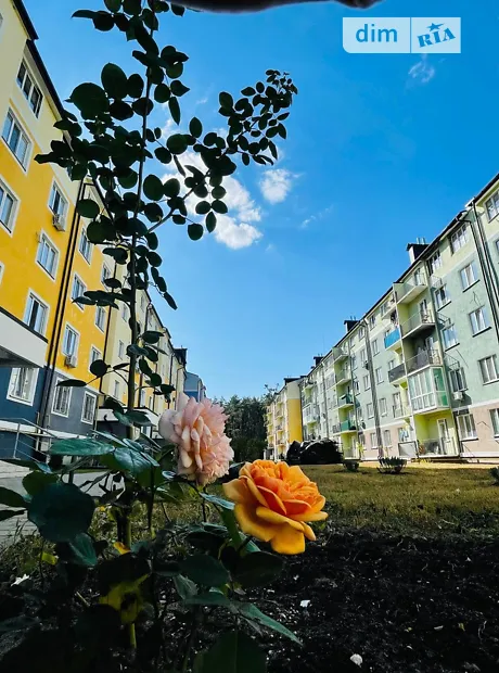 Квартира на вул. Білокур, 4Б в Києві, ID 237691, фото №16
