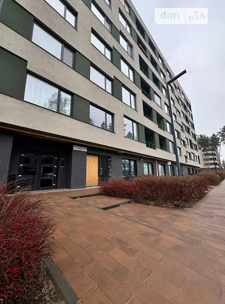 Квартира на пров. Богдана Ступки, 1 в Києві, ID 307852, фото №13