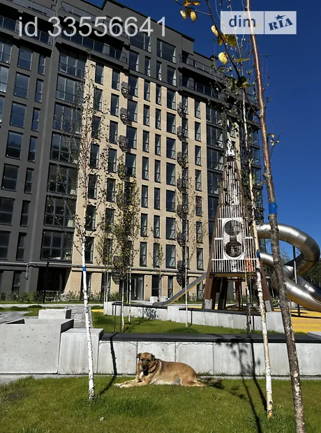 Квартира на просп. Миру, 96 в Хмельницькому, ID 243008, фото №1