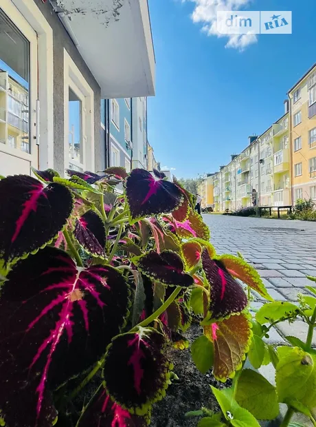 Квартира на вул. Білокур в Києві, ID 226319, фото №14