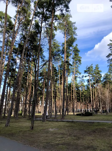 Квартира на вул. Літературна, 11 в Києві, ID 351574, фото №32