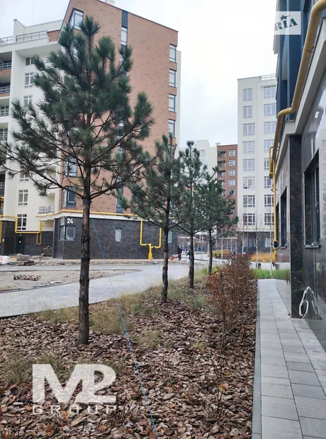Квартира на вул. Ольги Кобилянської, 15 в Києві, ID 229878, фото №2