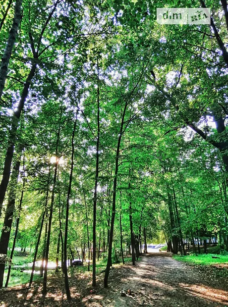 Квартира на вул. Соборна в Києві, ID 222270, фото №10