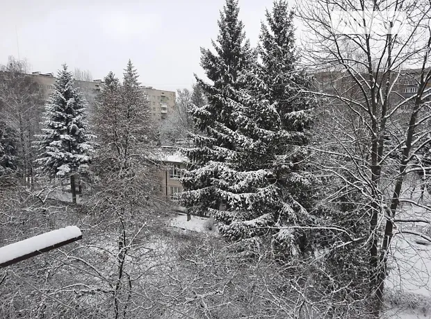 Квартира на вул. Володимира Великого, 57 в Львові, ID 173780, фото №11