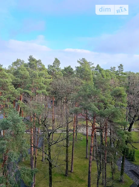Квартира на вул. Соборна, 151 в Києві, ID 244989, фото №11