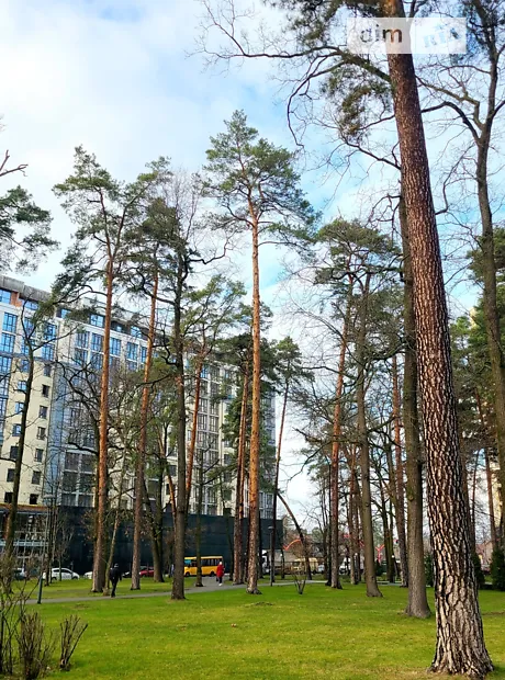 Квартира на вул. Соборна, 151 в Києві, ID 244989, фото №12