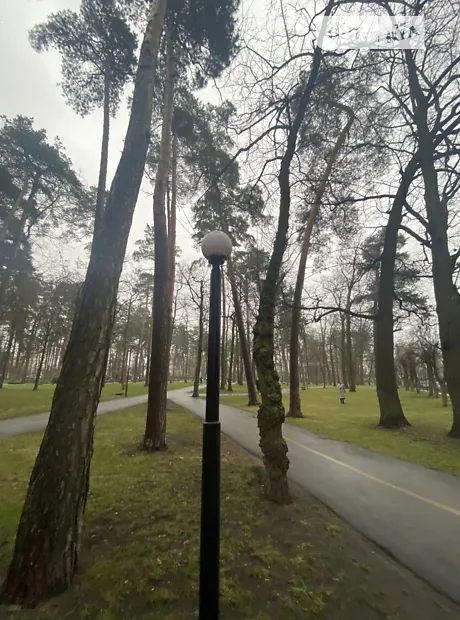 Квартира на вул. Матвія Донцова, 21 в Києві, ID 240154, фото №18