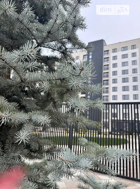 Квартира на вул. Миколи Мозгового, 2 в Києві, ID 221999, фото №2