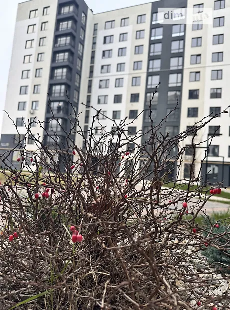 Квартира на вул. Миколи Мозгового, 2 в Києві, ID 221999, фото №13