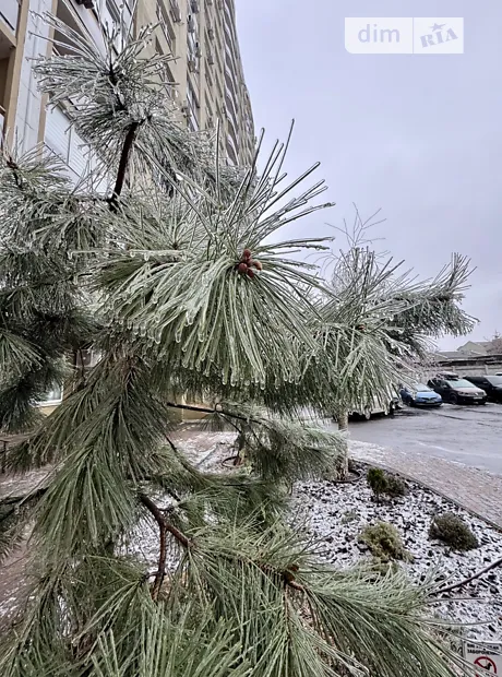 Квартира на вул. Якова Бреуса 63/1 в Одесі, ID 185262, фото №34