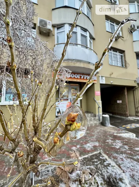 Квартира на вул. Якова Бреуса 63/1 в Одесі, ID 185262, фото №35
