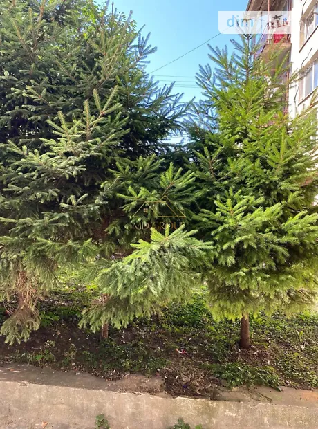 Квартира на вул. Романа Купчинського, 14 в Івано-Франківську, ID 174918, фото №10