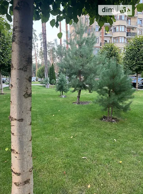 Квартира на вул. Незалежності в Києві, ID 224629, фото №24