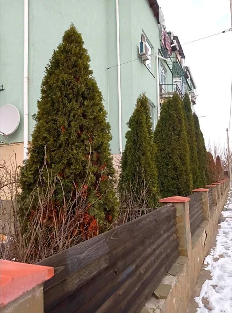 Квартира на вул. Івана Пулюя, 15 в Києві, ID 306473, фото №25