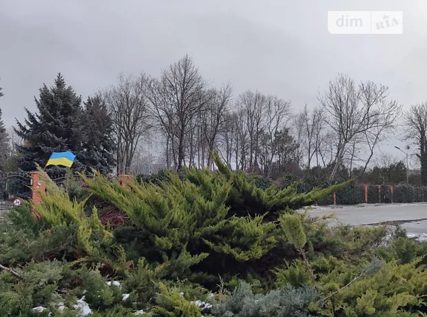 Квартира на просп. Чорноморський в Одесі, ID 306233, фото №19