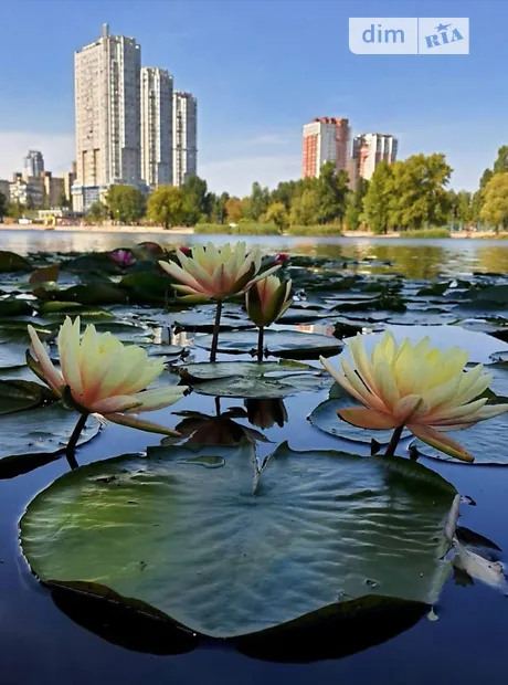 Квартира на вул. Юрія Шумського, 6 в Києві, ID 167054, фото №10