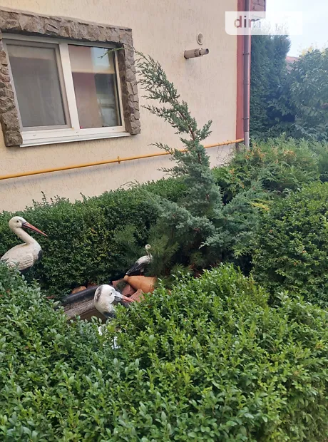 Квартира на вул. Центральна, 107 в Київ, ID 304862, фото №1