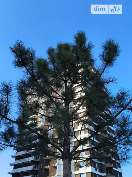 Квартира на шосе Гостомельське, 49 в Києві, ID 235011, фото №4