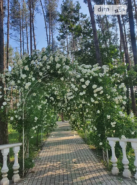 Квартира на вул. Соборна, 2 в Києві, ID 308294, фото №18