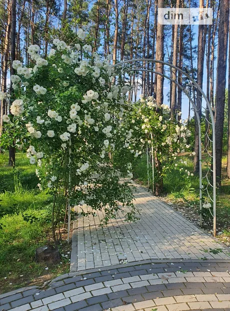 Квартира на вул. Соборна, 2 в Києві, ID 308294, фото №20