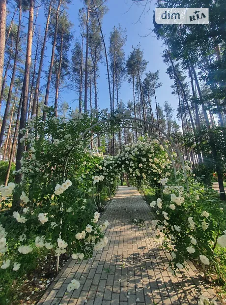 Квартира на вул. Соборна, 2 в Києві, ID 308293, фото №17