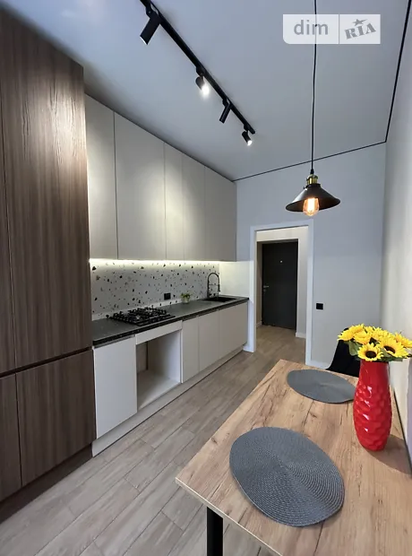 Квартира на вул. Ольги Кобилянської, 5 в Києві, ID 243307, фото №9