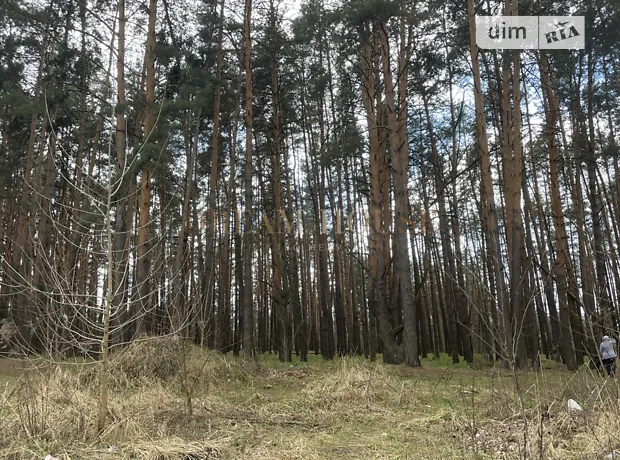Квартира на вул. Білокур, 5Г в Києві, ID 246745, фото №24
