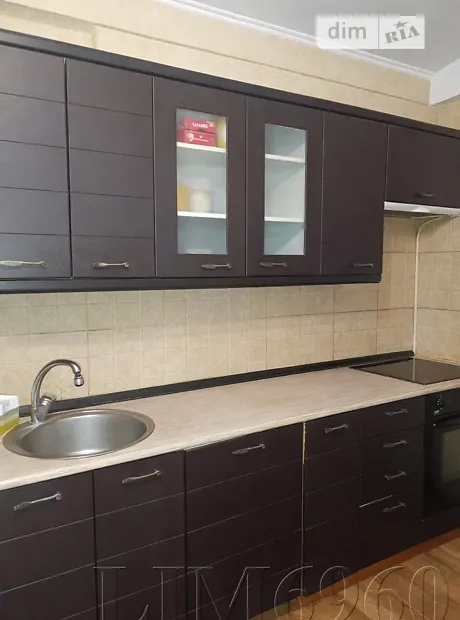 Квартира на вул. Романа Ратушного, 33 в Києві, ID 167589, фото №12