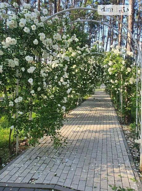 Квартира на вул. Соборна, 2 в Києві, ID 308292, фото №21