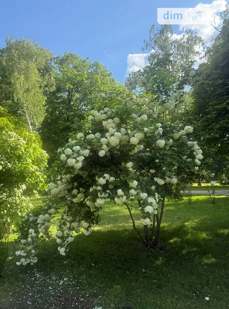 Квартира на вул. Велика Житомирська в Києві, ID 197008, фото №15