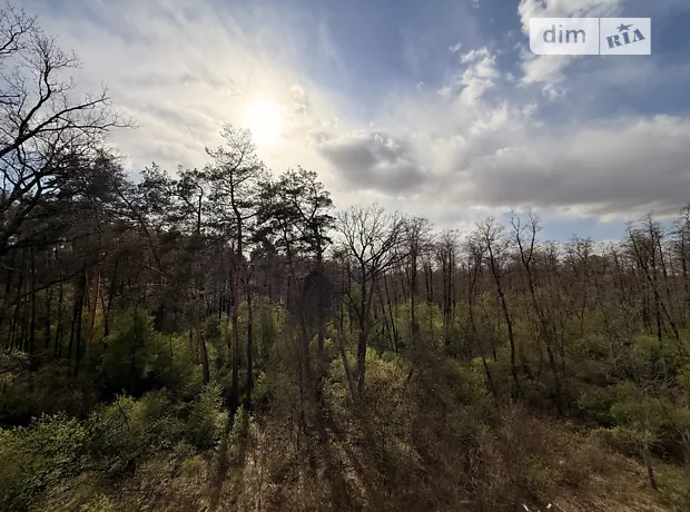 Квартира на вул. Наталії Околитенко, 76 в Києві, ID 224295, фото №7