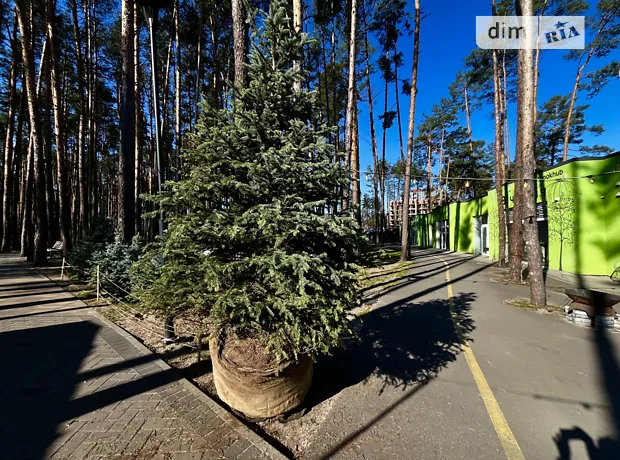 Квартира на вул. Соборна, 1 в Києві, ID 308287, фото №18