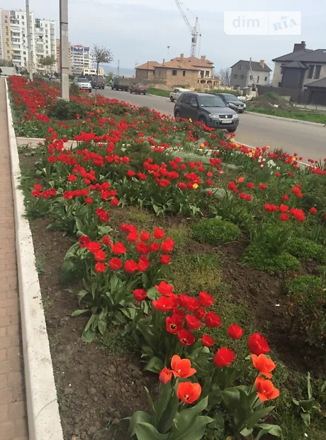 Квартира на вул. Паркова, 48 в Одесі, ID 305686, фото №29