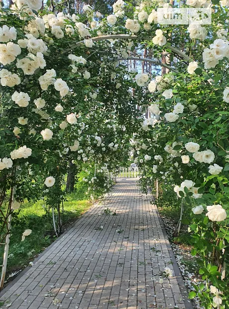 Квартира на вул. Соборна, 2 в Києві, ID 408665, фото №15