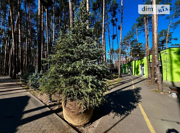 Квартира на вул. Соборна, 1 в Києві, ID 308529, фото №18