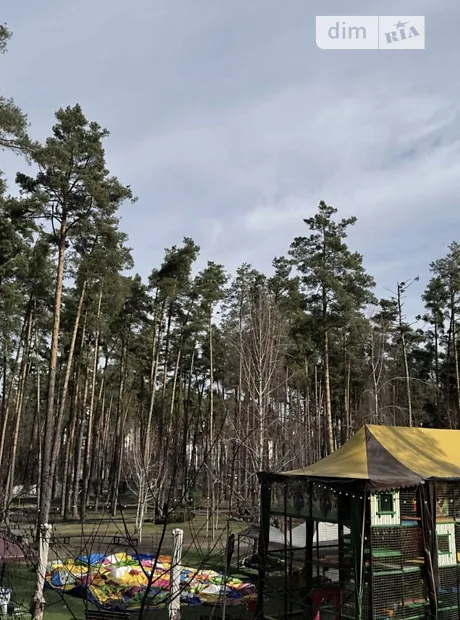 Квартира на вул. Університетська 3/16 в Києві, ID 234029, фото №3