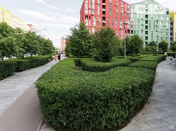 Квартира на вул. Регенераторна, 4 в Києві, ID 162435, фото №9