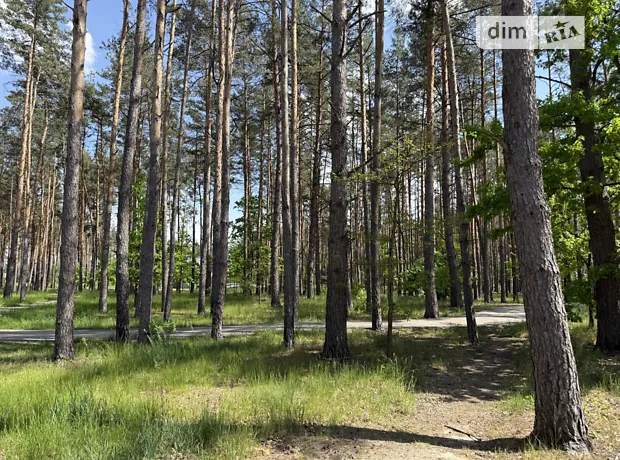 Квартира на вул. Мисливська, 10 в Києві, ID 308533, фото №26