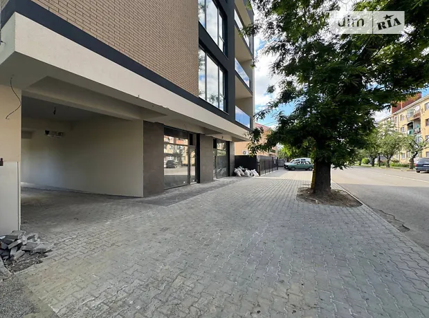Квартира на вул. Собранецька, 85 в Ужгороді, ID 234070, фото №11