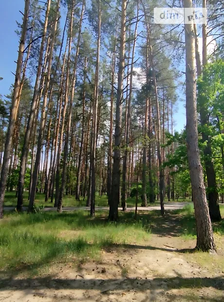 Квартира на пров. Богдана Ступки в Києві, ID 308467, фото №2