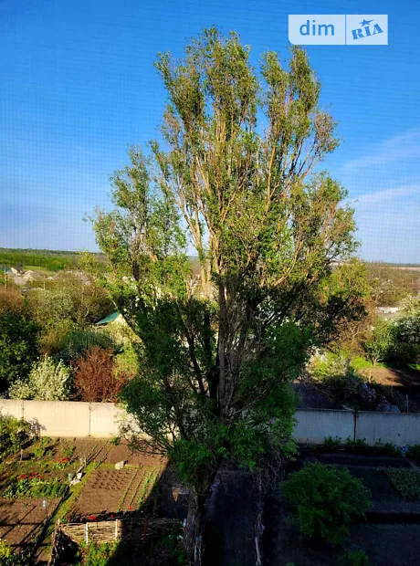 Квартира на вул. Академіка Вавілова в Дніпрі, ID 174671, фото №19
