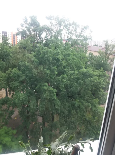 Квартира на вул. Ярославська, 14 в Києві, ID 238184, фото №1