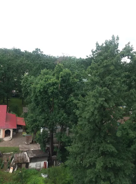 Квартира на вул. Ярославська, 14 в Києві, ID 238184, фото №3